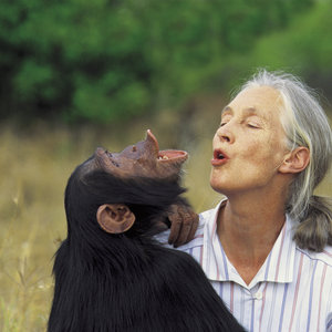 Jane Goodall